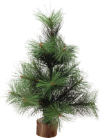 a pine christmas tree